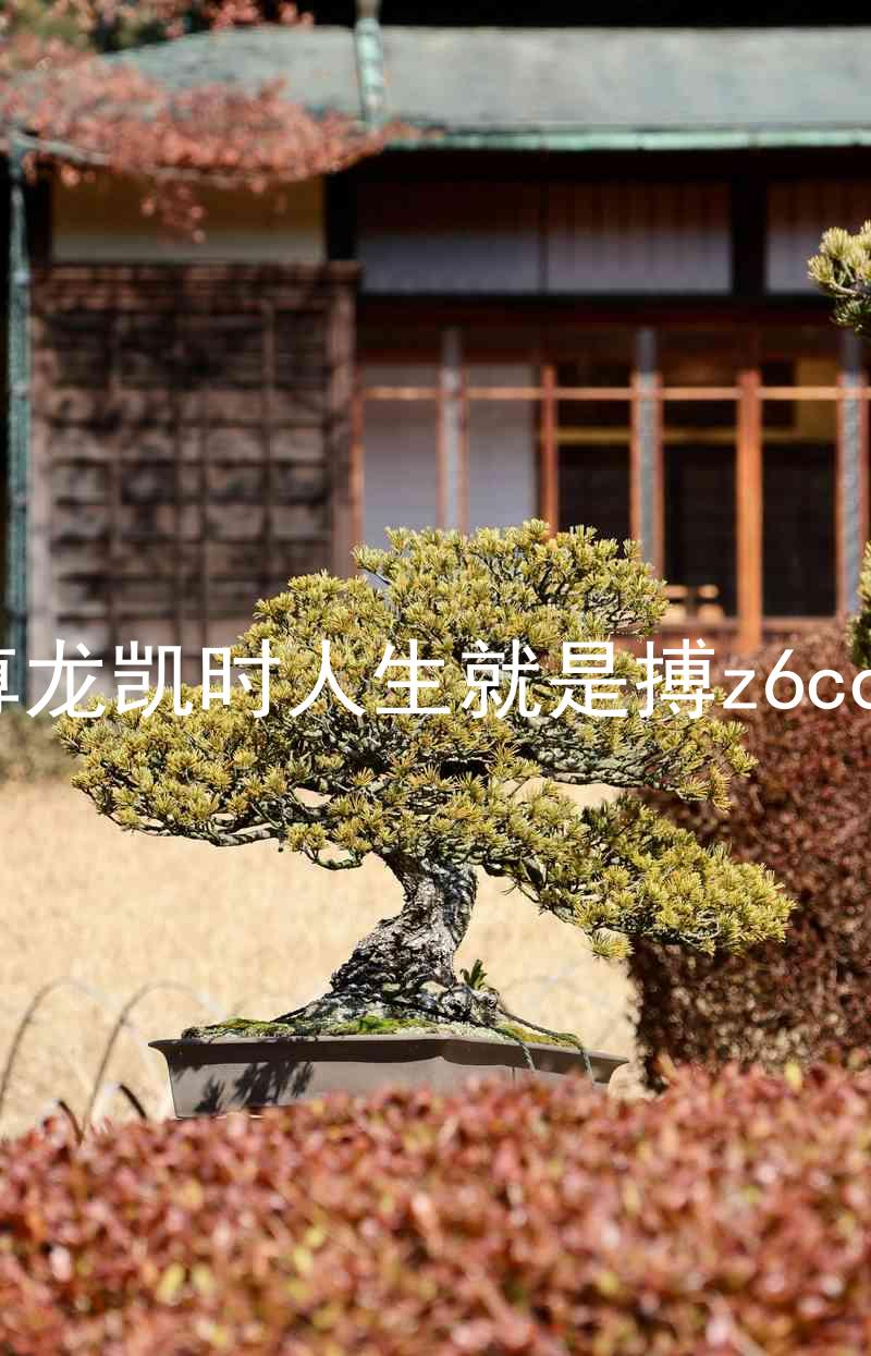 尊龙凯时人生就是搏z6com