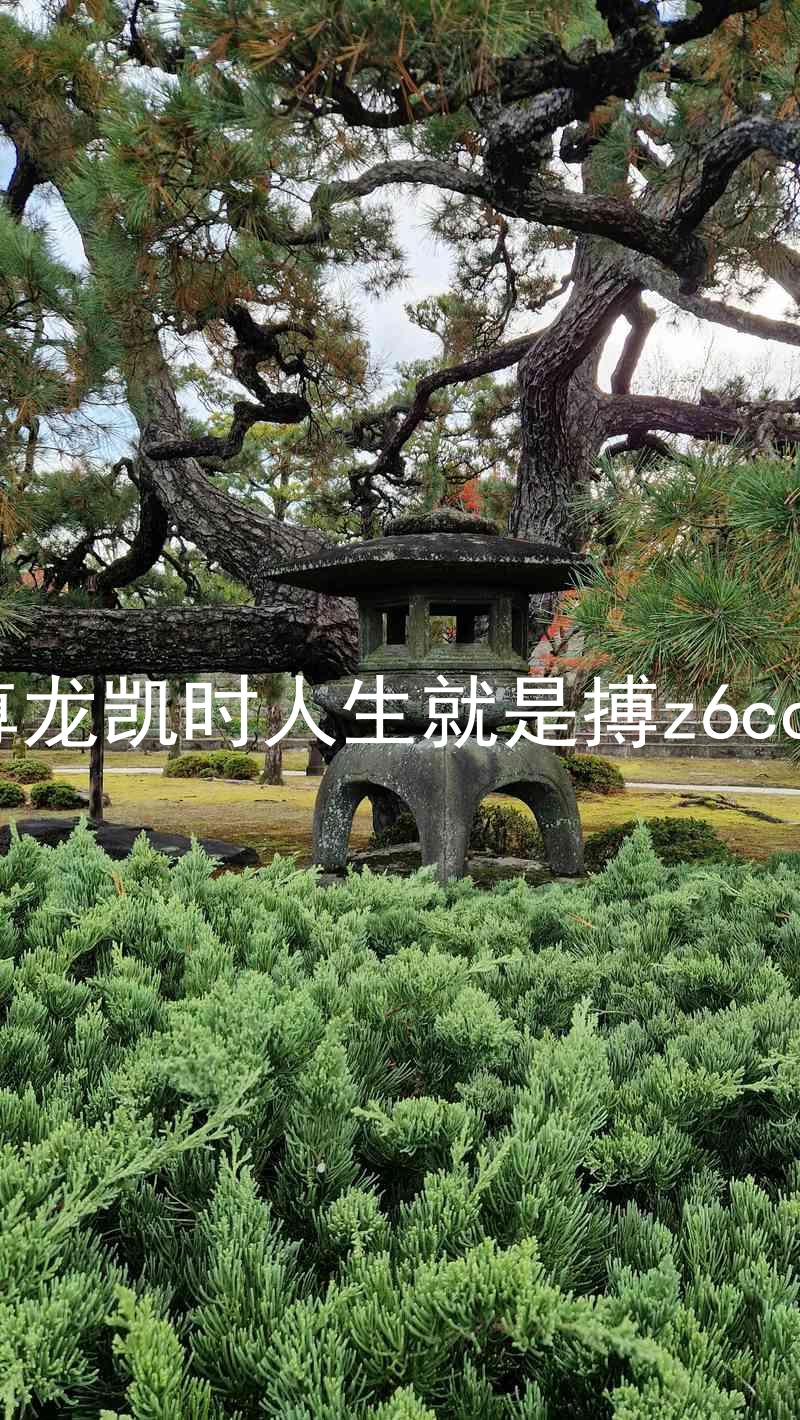 尊龙凯时人生就是搏z6com