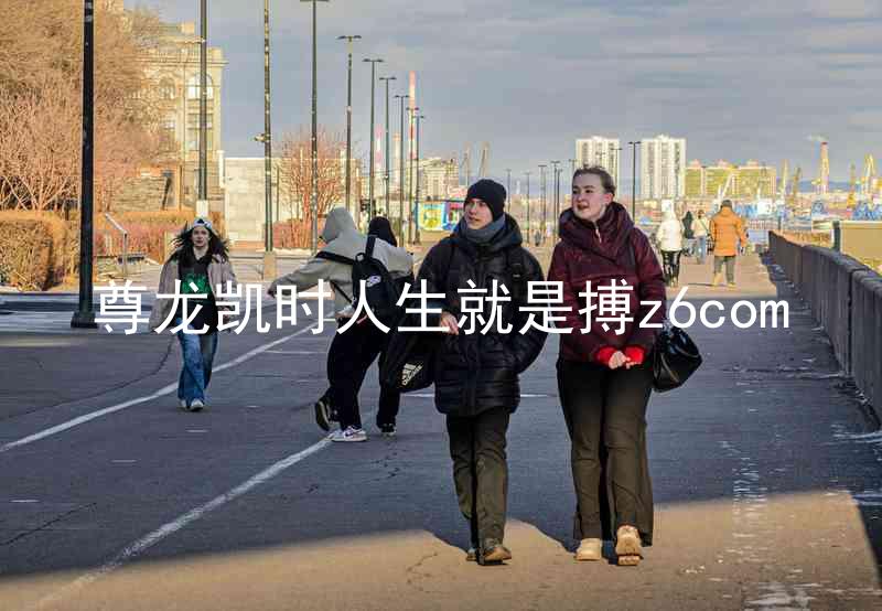 尊龙凯时人生就是搏z6com